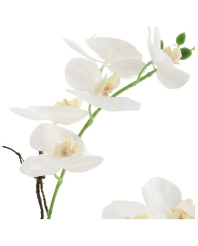 Orquidea blanca 2 tallos